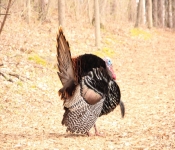 2014 04 27 WestwoodHills 001